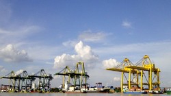 Thu ngân sách được đánh giá đạt tiến độ đề ra. Ảnh: Minh Tâm