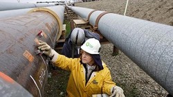 Giá dầu cao nhất kể từ tháng 7 nhờ chứng khoán Trung Quốc