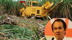 Đường của bầu Đức nhập từ Lào về Việt Nam sẽ được miễn thuế