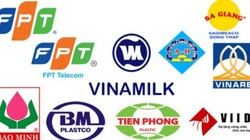 Câu chuyện thoái vốn của SCIC: Nhìn từ góc độ ngân sách