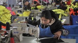 Việt Nam sẽ thay thế Trung Quốc trở thành trung tâm sản xuất của khu vực