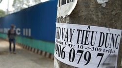 Thanh tra 12 công ty tài chính trên địa bàn TP.HCM