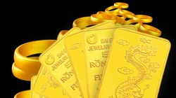 Doji Group: Doanh thu 1,6 tỷ đô, lợi nhuận 16 tỷ đồng