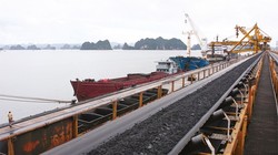 Lượng than cung ứng cho ngành điện tăng 5 triệu tấn năm 2016