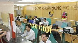 Chất lượng nhân sự Agriseco thấp, tính chiến đấu yếu