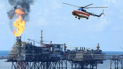 Hầu hết các công ty trong ngành dầu khí đều đạt lợi nhuận bất chấp sự sụt giảm của giá dầu từ đầu năm đến nay.