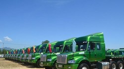 61 xe đầu kéo của Công ty TNHH một thành viên Hào Hưng Quảng Ngãi mua từ Trung Quốc - Ảnh: Hiển Cừ