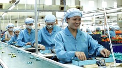 Việt Nam chưa phát triển công nghiệp hỗ trợ