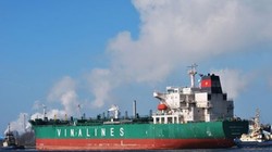 Về lỗ lũy kế, sau Vinalines là Tổng công ty Lương thực miền Nam với 1.125 tỷ đồng.