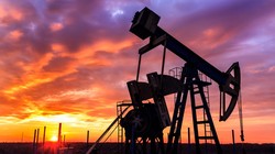 Ngân hàng Goldman Sachs và OPEC vừa có cùng nhận định về thùng dầu giá 20 USD vào năm sau - Ảnh: Shutterstock