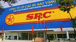 Cao su Sao Vàng muốn xây Trung tâm thương mại gần Royal City