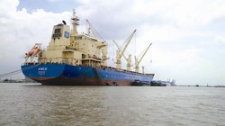 Khó khăn đang chồng chất với các hãng tàu, khi giá cước vận tải đang bị ép xuống mức thấp. Ảnh: L.Q.T