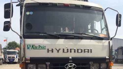 “Xe vua” trên đường phố TP HCM với logo “Kim Phát” Ảnh: HẢI LIÊN