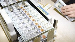 Chứng khoán 2016: ảm đạm cổ phiếu dầu khí và vận tải biển