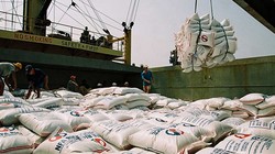 Vinafood 2 “Không bất ngờ với kết luận thanh tra”