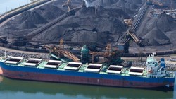 Nhập than: khi nào và đến bao giờ?