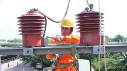 Công nhân điện lực Vĩnh Long đang kiểm tra hệ thống lưới điện.