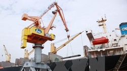 Bốc xếp hàng hóa tại Cảng Hải Phòng. (Ảnh: Lâm Khánh/TTXVN)