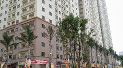 Internet tại những tòa chung cư luôn là miếng bánh béo bở cho các nhà cung cấp dịch vụ.