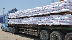 Giá khí giảm, Đạm Phú Mỹ vượt 45% kế hoạch năm