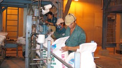 Đạm Phú Mỹ đề xuất kế hoạch lợi nhuận 2016 giảm 19%