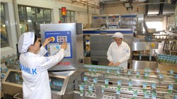 Một cuộc đua khốc liệt nắm giữ cổ phiếu sau khi Nhà nước thoái vốn đang diễn ra