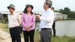 Thống đốc Nguyễn Văn Bình cùng lãnh đạo tỉnh An Giang khảo sát thực tế nuôi cá tra tại hộ dân. (Nguồn: Ngân hàng Nhà nước)