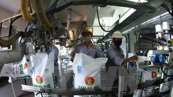 Đóng gói sản phẩm tại Công ty Phân bón Dầu khí Cà Mau. (Ảnh: Huy Hùng/TTXVN)