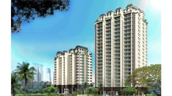 Ai đang gom đất vàng của Tập đoàn cao su?