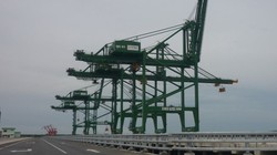 Hầu hết các cảng quốc tế ở khu vực Cái Mép đều vắng khách, lỗ lũy kế cả nghìn tỷ đồng