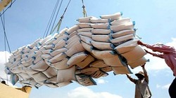 Giá gạo Việt Nam xuất khẩu đột ngột giảm