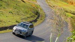 Nhập khẩu ôtô tiếp tục phục hồi