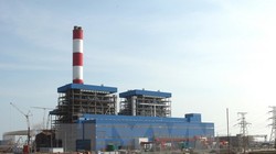 Mua toàn bộ tro xỉ của Nhà máy nhiệt điện Duyên Hải 1