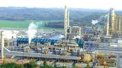 Không được xuất khẩu, Lọc dầu Dung Quất chỉ còn biết chờ... “sung rụng“