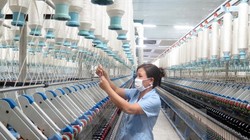 Ảnh chỉ có tính minh họa. (Ảnh: Hiền Hạnh/TTXVN)