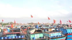 Sắp có cơ chế hỗ trợ một lần sau đầu tư cho chủ đóng mới tàu cá xa bờ.​