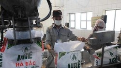 Đạm Hà Bắc lỗ gần 700 tỷ chỉ trong 1 năm