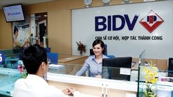 Tranh cãi về việc thu nguồn cổ tức về ngân sách nhà nước hay để các NHTM nhà nước được giữ lại đang tiếp tục. Ảnh TL.