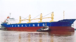 Trong số những tàu bán có cả những tàu trẻ