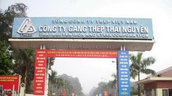 Công ty Gang thép Thái Nguyên