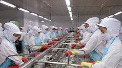 Chế biến tôm đông lạnh xuất khẩu. (Ảnh: Trần Việt/TTXVN)