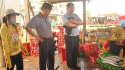 Trương lái Trung Quốc đến tận nơi thu mua cá Việt Nam