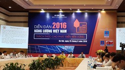 Diễn đàn “Năng lượng Việt Nam 2016 - thách thức cho phát triển bền vững”.