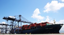 Tàu Huyndai Premium tải cảng CICT ngày 6/6. Ảnh: Thanh Tân