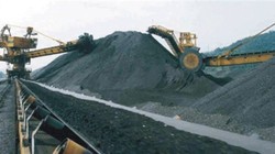 TKV đang muốn ưu đãi thuế với lý do "bị" xuất ít, nhập nhiều. Nguồn ảnh: Internet