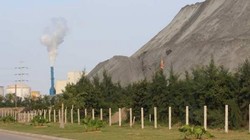 DAP Đình Vũ hoạt động sinh ra một núi chất thải, và khối lỗ hàng trăm tỷ đồng. Ảnh: VietTimes