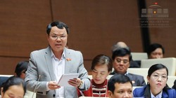 Đại biểu Nguyễn Tiến Sinh. Ảnh: Quốc hội