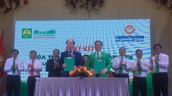 Buổi ký kết giữa LienVietPostBank và MaiLinhGroup