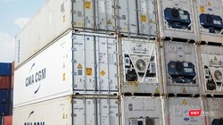 Một kho container đông lạnh tại Hải Phòng