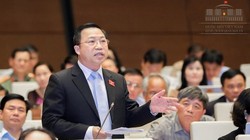 Đại biểu Lưu Bình Nhưỡng. Nguồn: quochoi.vn